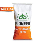P64LP130